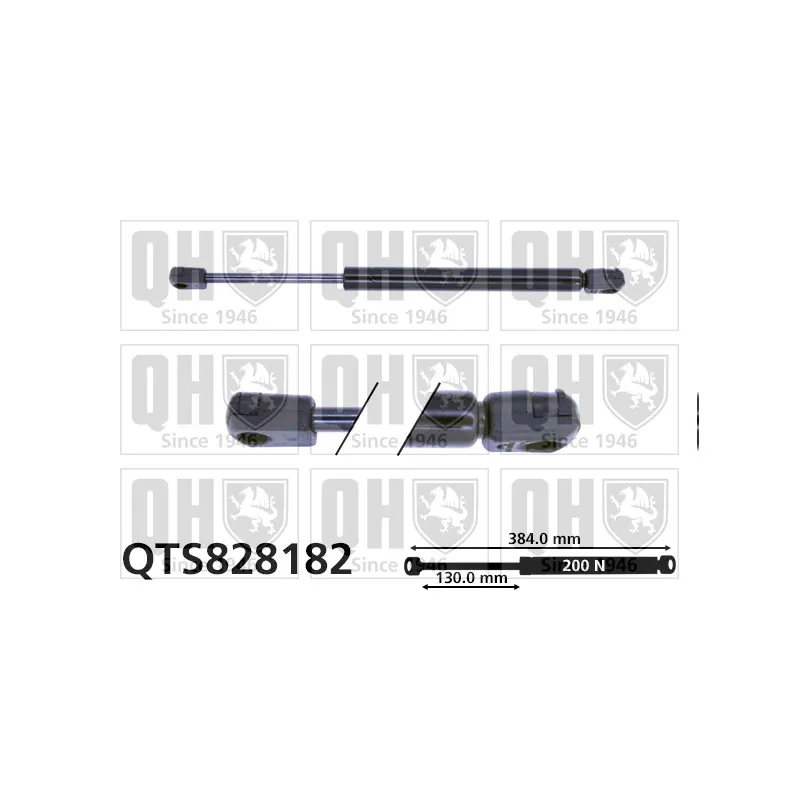 Vérin, vitre arrière QUINTON HAZELL QTS828182