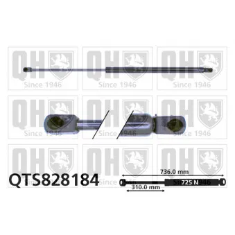 Vérin de hayon, de coffre QUINTON HAZELL QTS828184