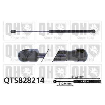Vérin de hayon, de coffre QUINTON HAZELL QTS828214
