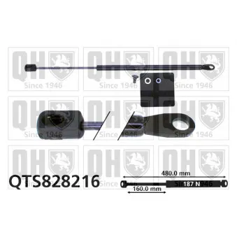 Vérin, vitre arrière QUINTON HAZELL QTS828216