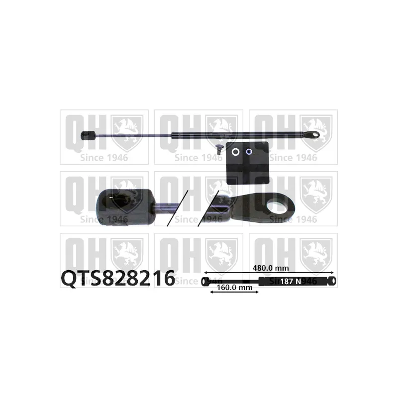 Vérin, vitre arrière QUINTON HAZELL QTS828216