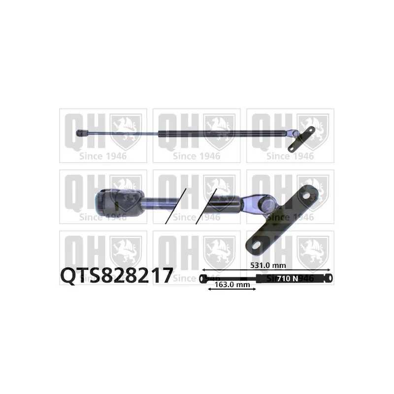 Vérin de hayon, de coffre QUINTON HAZELL QTS828217
