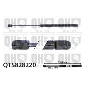 Vérin de hayon, de coffre QUINTON HAZELL QTS828220
