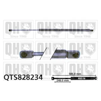 Vérin de hayon, de coffre QUINTON HAZELL QTS828234