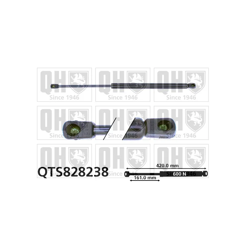 Vérin de hayon, de coffre QUINTON HAZELL QTS828238
