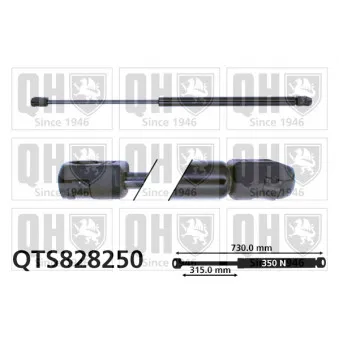 Vérin, capot-moteur QUINTON HAZELL QTS828250