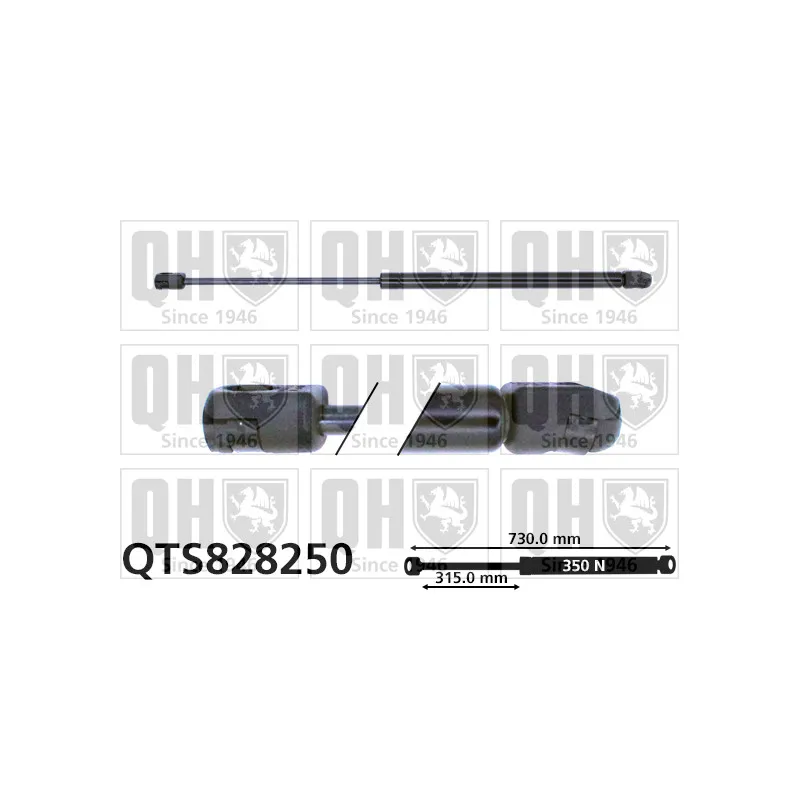 Vérin, capot-moteur QUINTON HAZELL QTS828250
