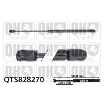 Vérin de hayon, de coffre QUINTON HAZELL QTS828270