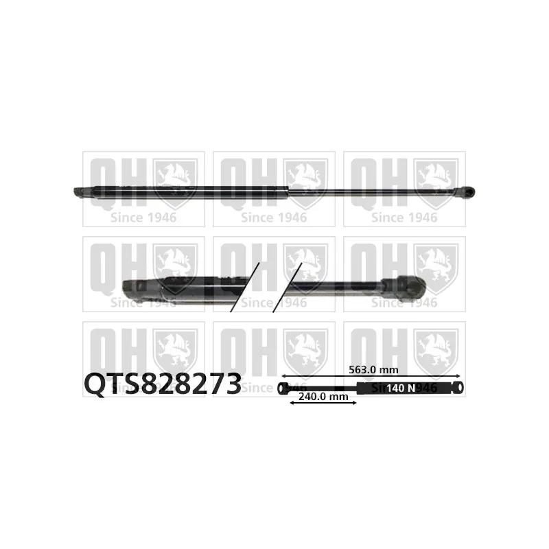Vérin, vitre arrière QUINTON HAZELL QTS828273
