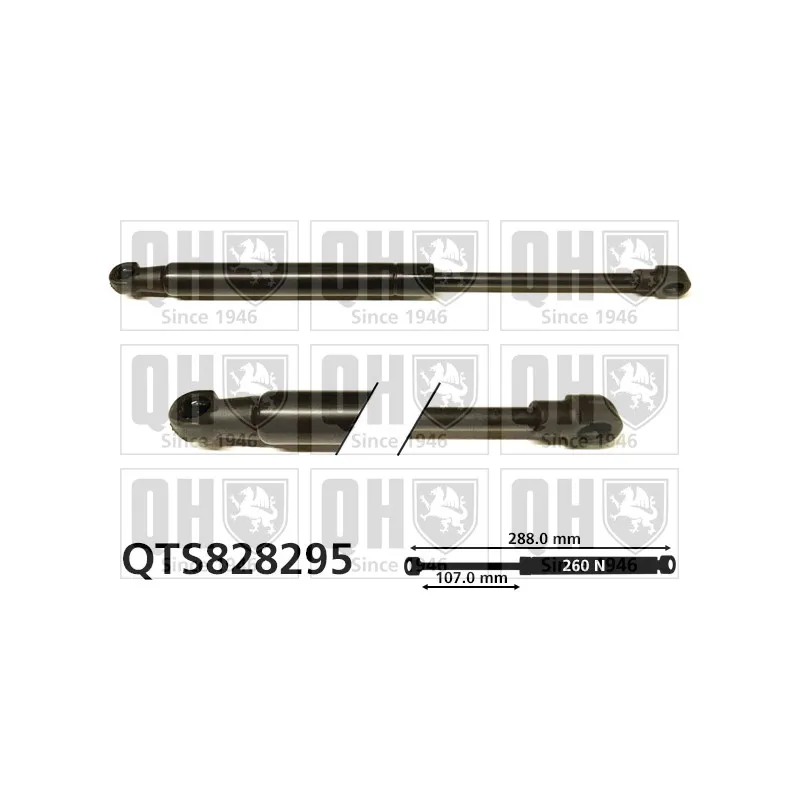Vérin de hayon, de coffre QUINTON HAZELL QTS828295