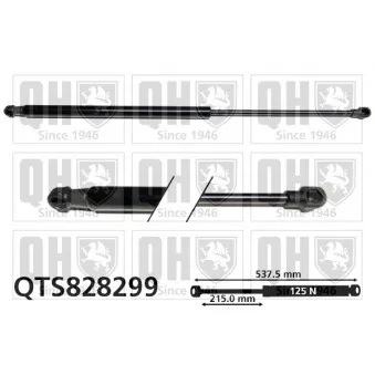 Vérin, vitre arrière QUINTON HAZELL QTS828299