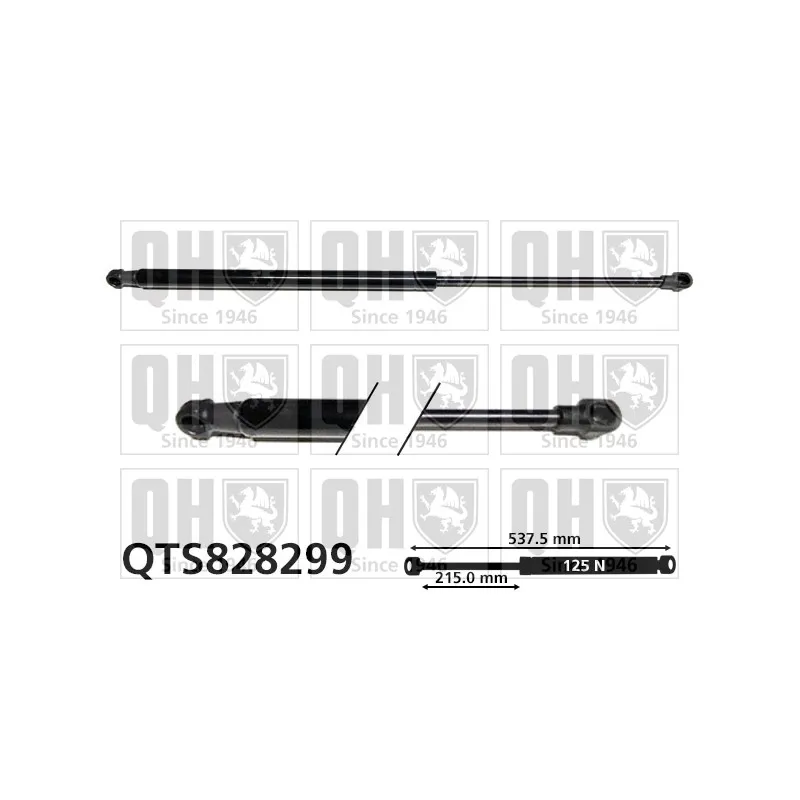 Vérin, vitre arrière QUINTON HAZELL QTS828299