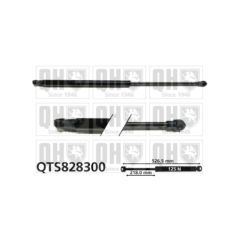 Vérin, vitre arrière QUINTON HAZELL QTS828300