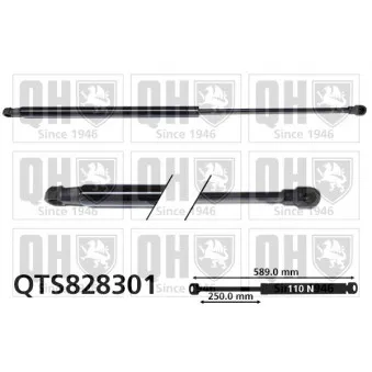 Vérin, vitre arrière QUINTON HAZELL QTS828301