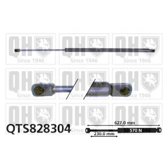 Vérin de hayon, de coffre QUINTON HAZELL QTS828304