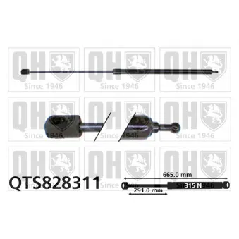 Vérin, capot-moteur QUINTON HAZELL QTS828311