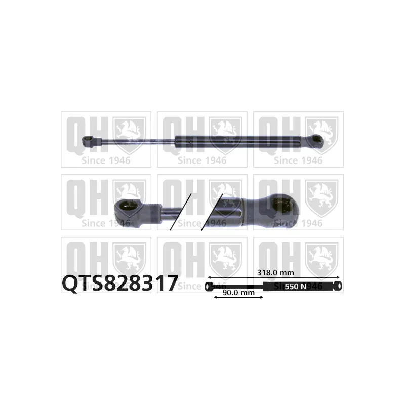 Vérin, vitre arrière QUINTON HAZELL QTS828317