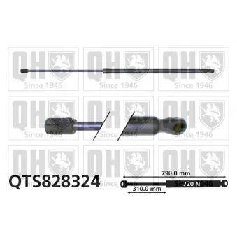 Vérin de hayon, de coffre QUINTON HAZELL QTS828324