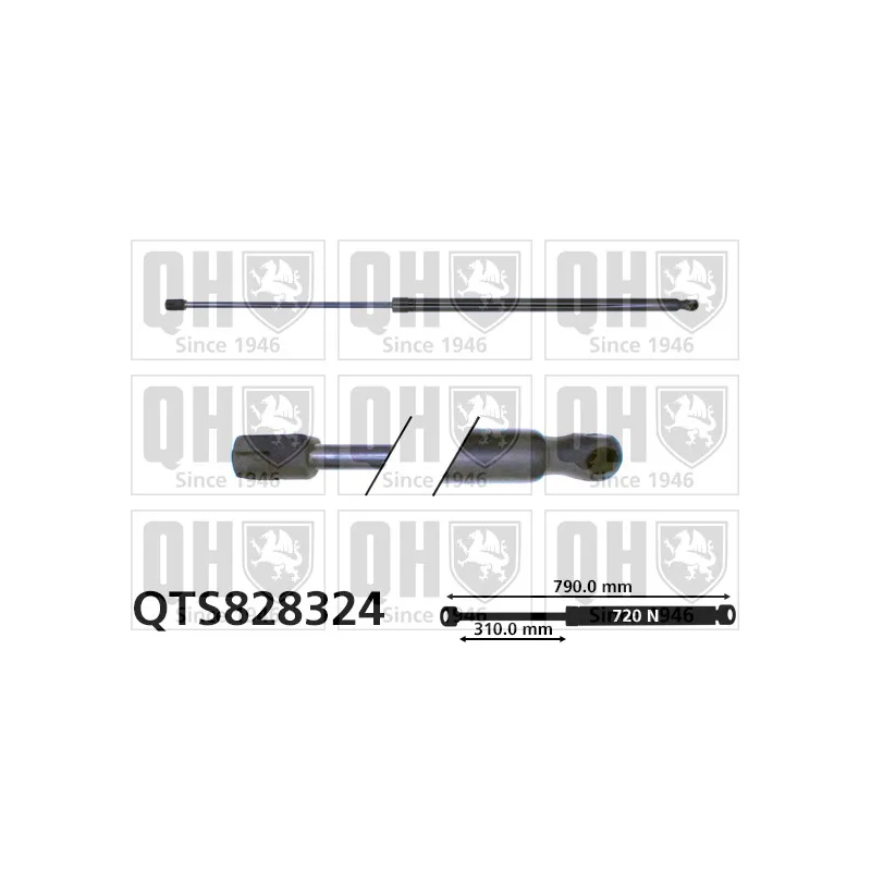 Vérin de hayon, de coffre QUINTON HAZELL QTS828324