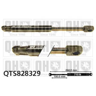 Vérin, capot-moteur QUINTON HAZELL QTS828329