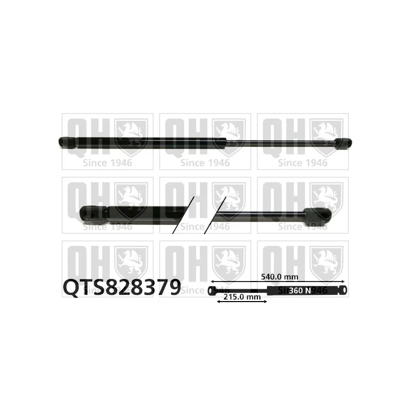 Vérin, vitre arrière QUINTON HAZELL QTS828379