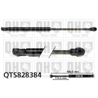 Vérin, capot-moteur QUINTON HAZELL QTS828384