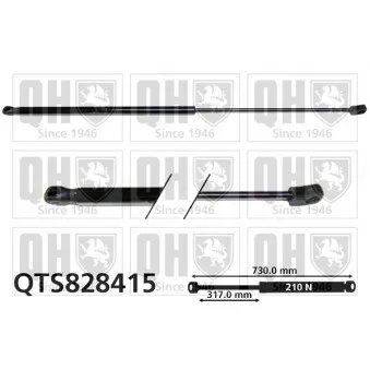 Vérin, capot-moteur QUINTON HAZELL QTS828415