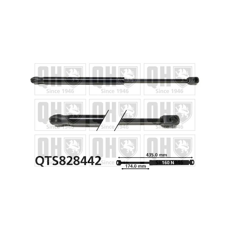 Vérin, vitre arrière QUINTON HAZELL QTS828442