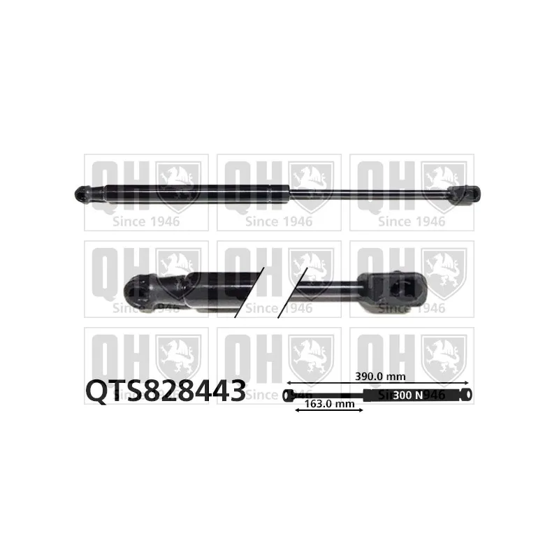 Vérin, capot-moteur QUINTON HAZELL QTS828443
