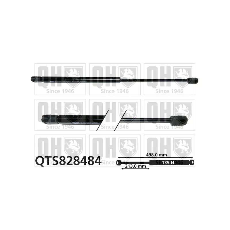 Vérin, vitre arrière QUINTON HAZELL QTS828484