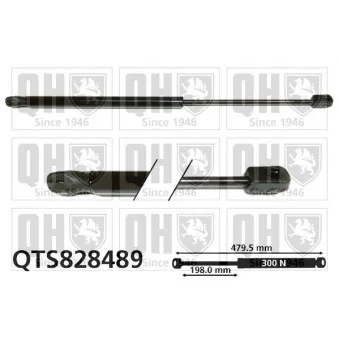 Vérin, capot-moteur QUINTON HAZELL QTS828489