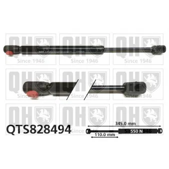 Vérin, capot-moteur QUINTON HAZELL QTS828494