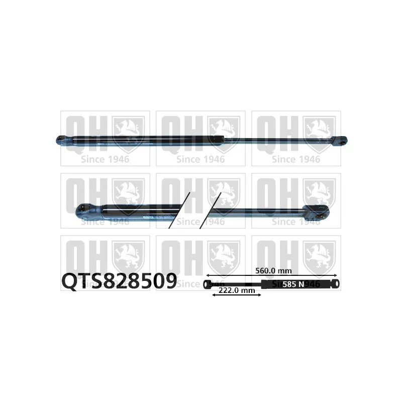 Vérin de hayon, de coffre QUINTON HAZELL QTS828509