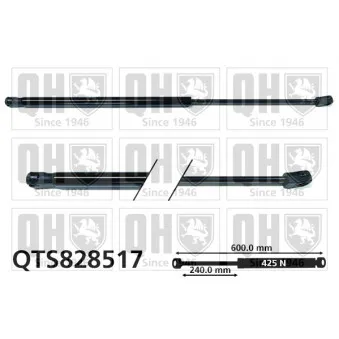Vérin, capot-moteur QUINTON HAZELL QTS828517