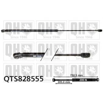 Vérin, capot-moteur QUINTON HAZELL QTS828555