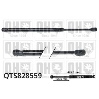 Vérin, capot-moteur QUINTON HAZELL QTS828559