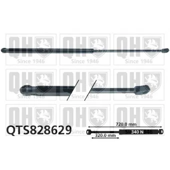 Vérin, capot-moteur QUINTON HAZELL QTS828629