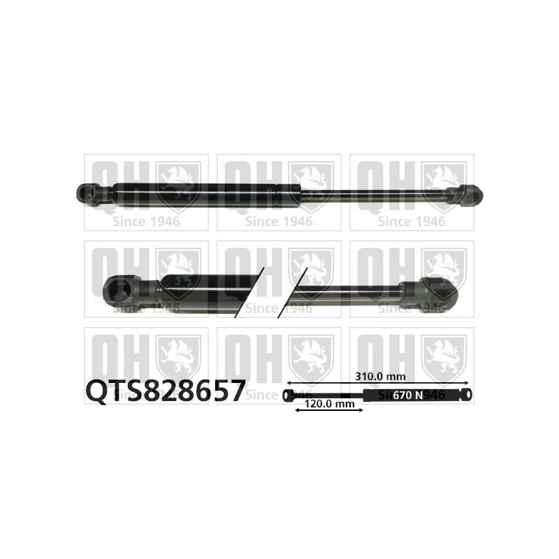 Ressort pneumatique, porte QUINTON HAZELL QTS828657