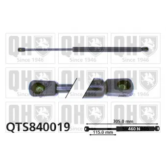 Vérin de hayon, de coffre QUINTON HAZELL QTS840019