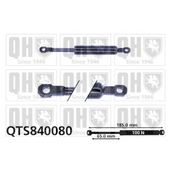 Vérin, table pliante QUINTON HAZELL QTS840080