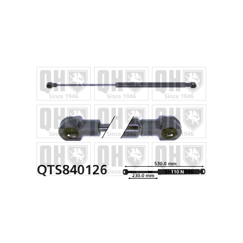 Vérin, vitre arrière QUINTON HAZELL QTS840126