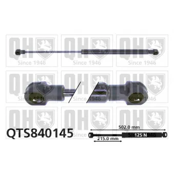 Vérin, vitre arrière QUINTON HAZELL QTS840145