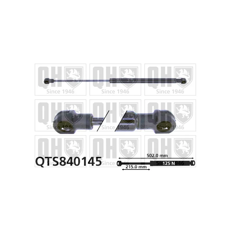 Vérin, vitre arrière QUINTON HAZELL QTS840145