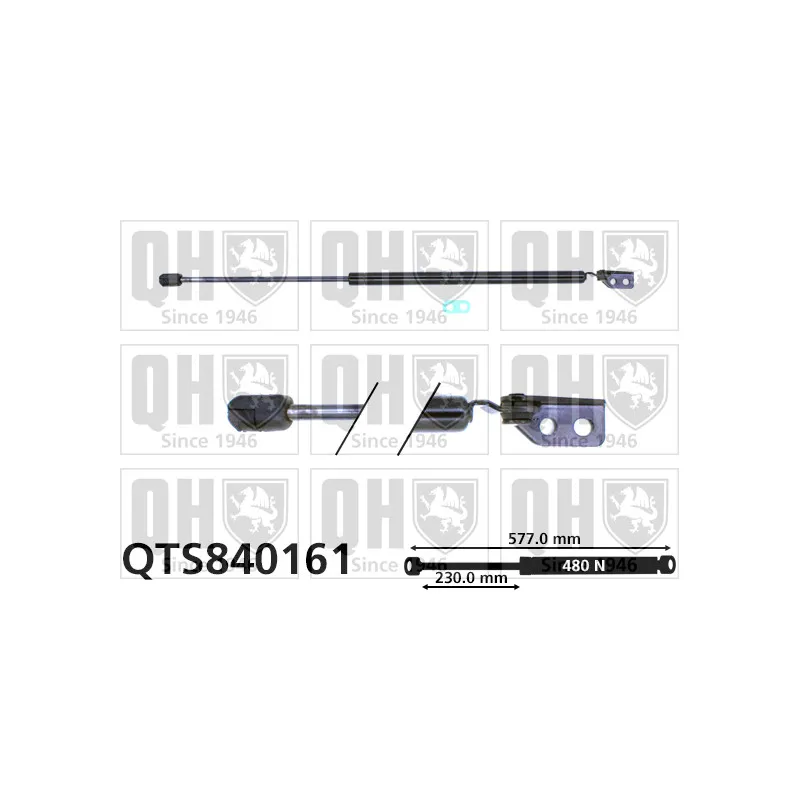 Vérin de hayon, de coffre QUINTON HAZELL QTS840161