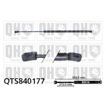 Vérin de hayon, de coffre QUINTON HAZELL QTS840177