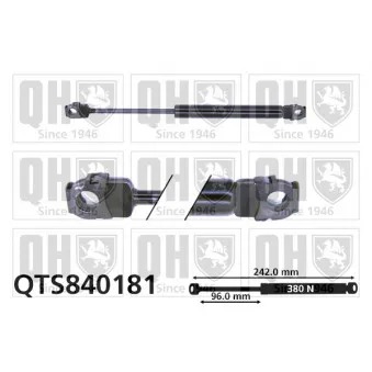 Vérin, capot-moteur QUINTON HAZELL QTS840181