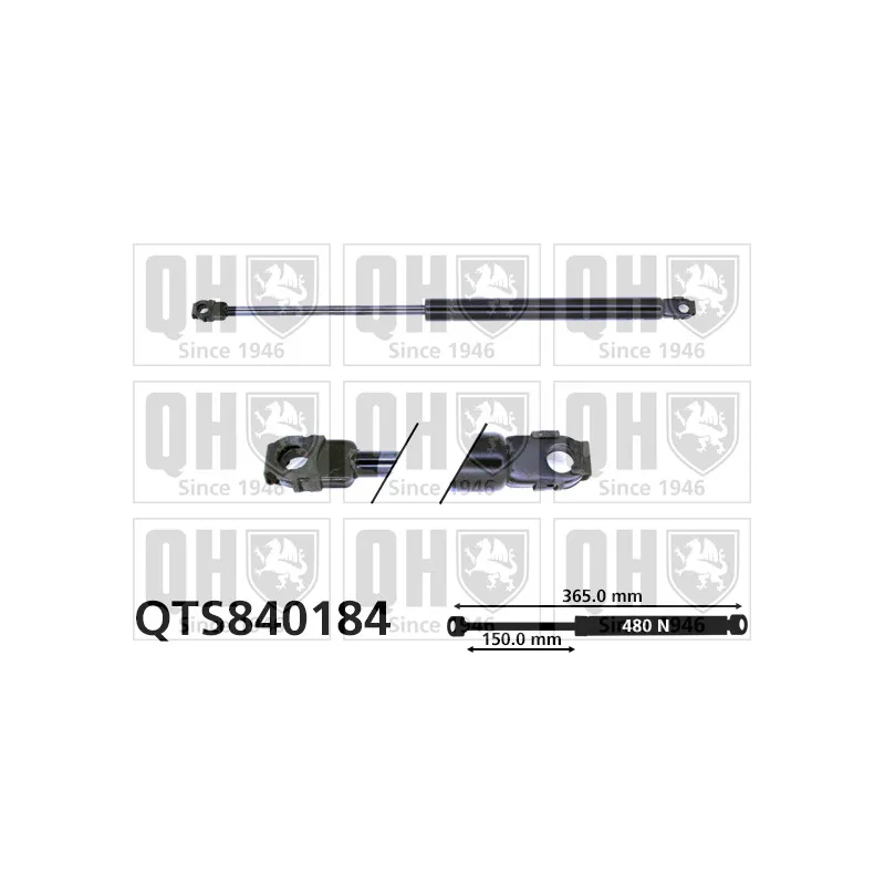 Vérin de hayon, de coffre QUINTON HAZELL QTS840184