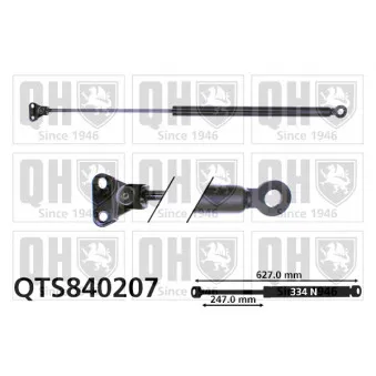 Vérin de hayon, de coffre QUINTON HAZELL QTS840207