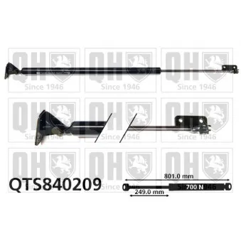 Vérin de hayon, de coffre QUINTON HAZELL QTS840209