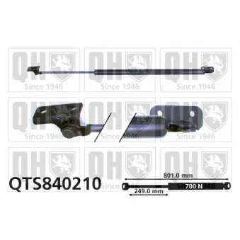 Vérin de hayon, de coffre QUINTON HAZELL QTS840210